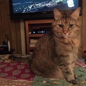 Meet your Posher, Cindy